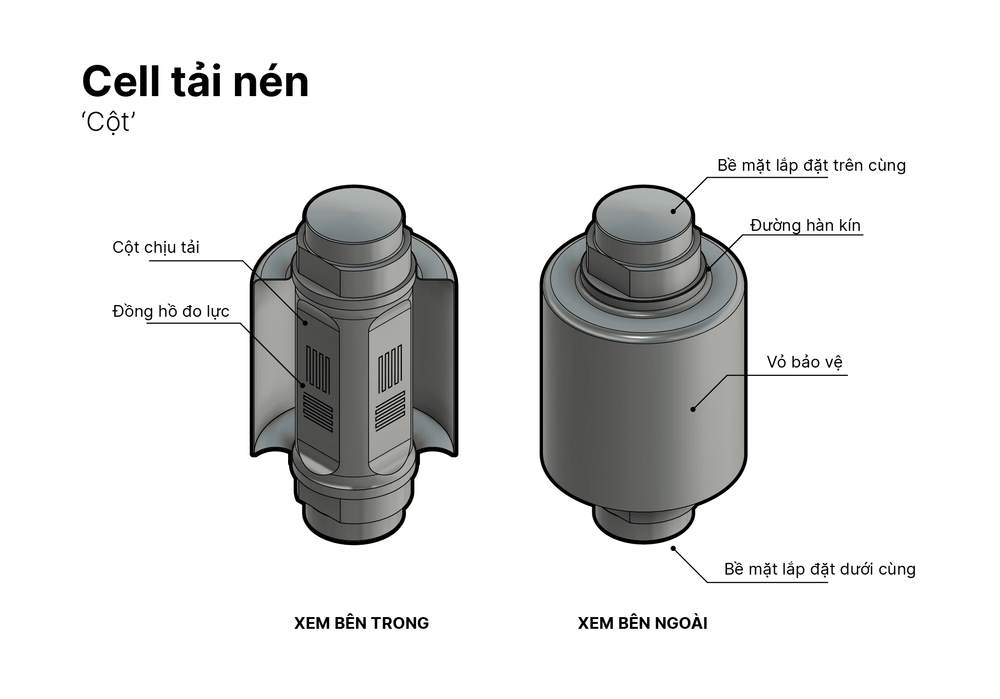 Cảm ứng lực dạng nén là gì?
