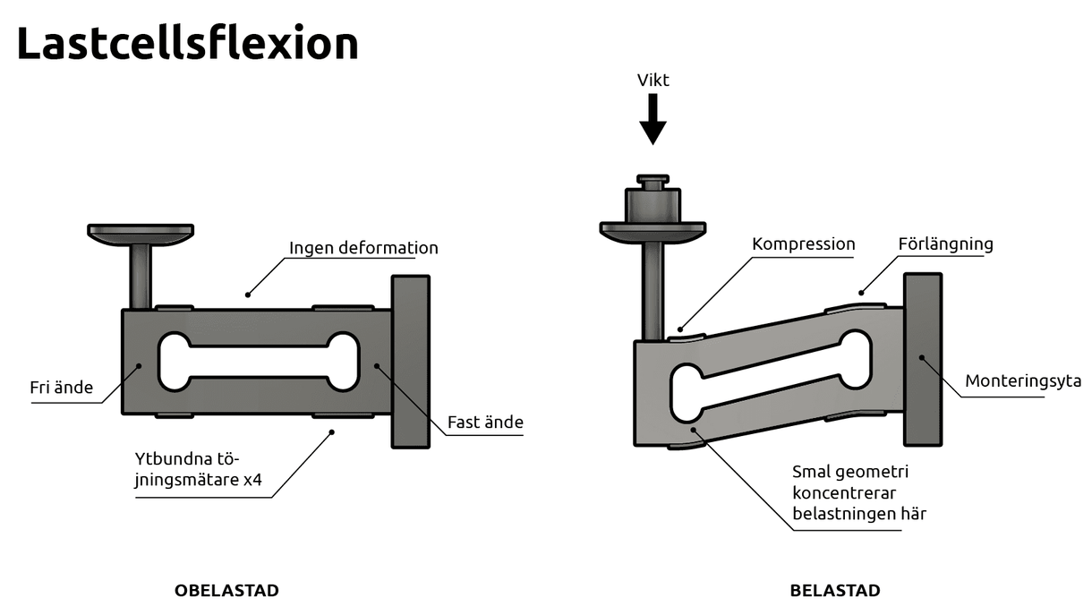 Lastcellsflexion