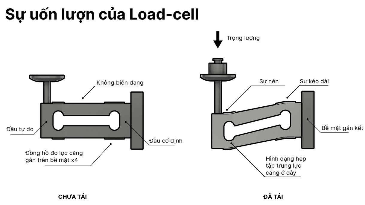 Sự uốn lượn của Load-cell