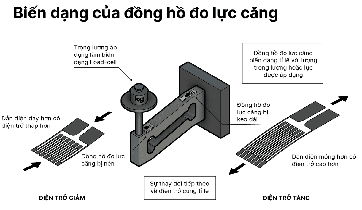 Biến dạng của đồng hồ đo lực căng